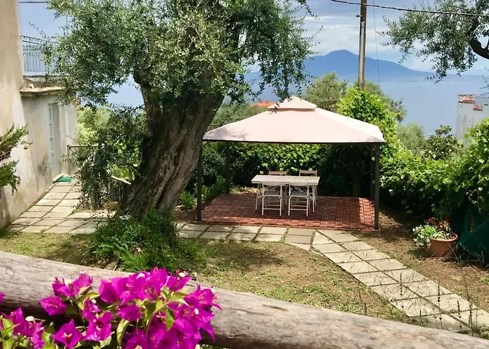 Гостевой дом Garden 4*