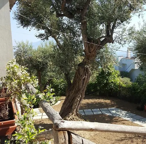 Гостевой дом Garden Сорренто