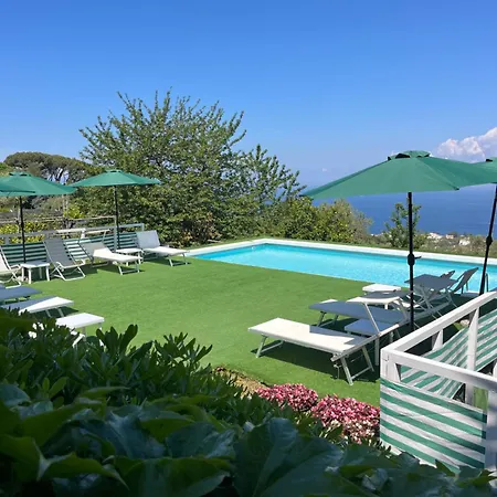 Garden 4*