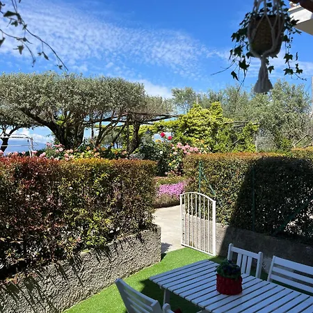 בית הארחה Garden