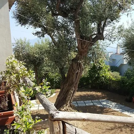 Casa de hóspedes Garden Sorrento