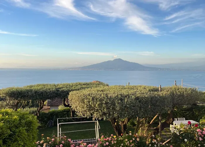 Garden Guest house 4*