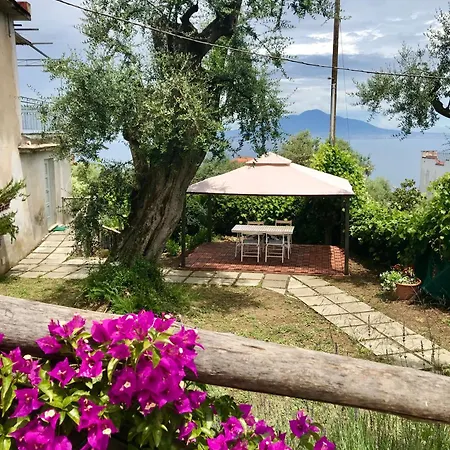 Affittacamere Garden 4*