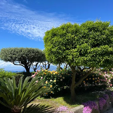 Garden Affittacamere