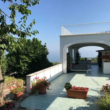 Garden * Sorrento